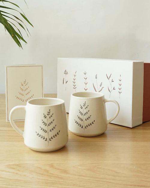 Ferns Mugs Gift Box