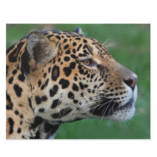 Guyana's Jaguar Puzzle (120, 252, 500-Piece)