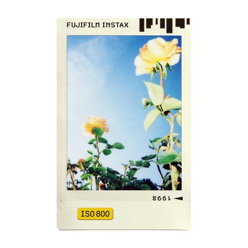 Photo Slide Film