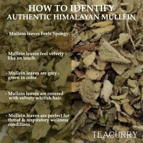 Himalayan Mullein Tea - Helps with Asthma, Lung Detox, Immunity and Easy Sleep