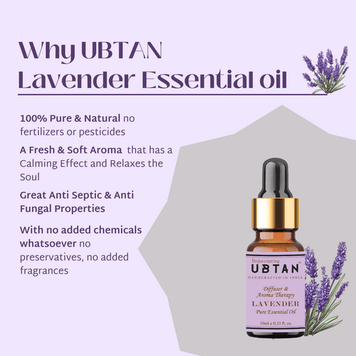 Lavender Essential Oil