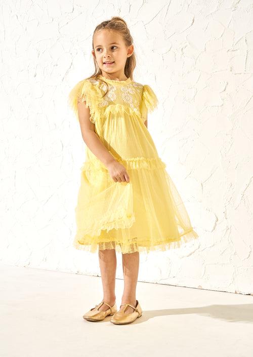 Luisa Yellow Embroidered Mesh Dress