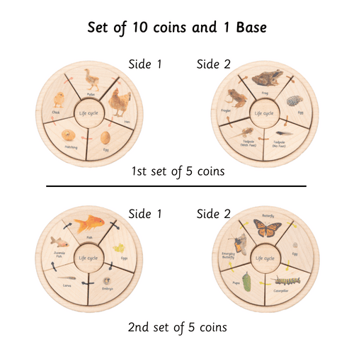 Life Cycle Puzzle - Oviparous