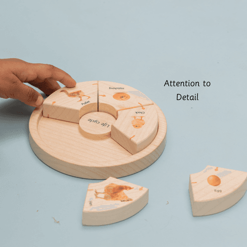 Life Cycle Puzzle - Oviparous