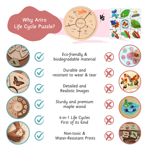 Life Cycle Puzzle - Oviparous