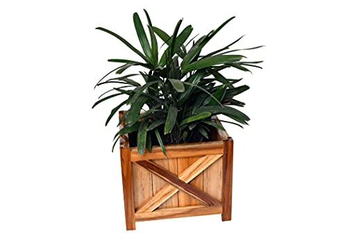 The Weaver's Nest Wooden Planter Box/Plant Stand, Flower Pot Holder for Home, Restaurants, Hotels, Garden, Balcony, Patio (Brown, L 28 x W 28 x H 24 cm)