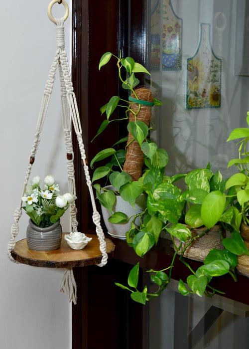 The Weaver's Nest Macrame Wall Hanging Shelf with Wooden Base for Indoor, Living Room, Bedroom, Kitchen, Modern Home Decor