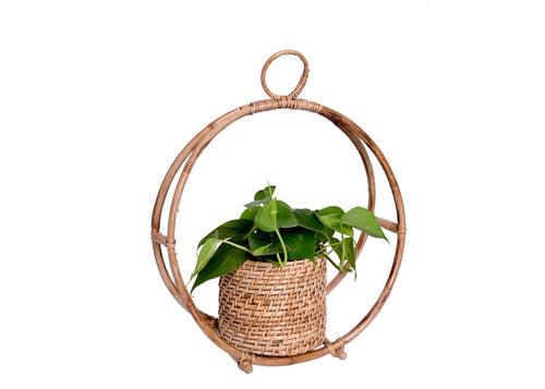 The Weaver's Nest Handmade Natural Cane Planter for Home, Offices, Restaurants, Garden, Cafe, Balcony, Living Room (Brown, 35 X 15 X 42 cm)