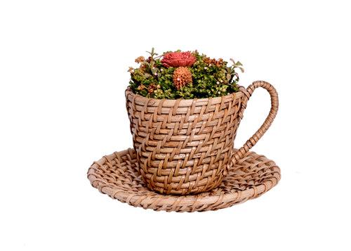 The Weaver's Nest Handmade Natural Cane Cup and Saucer  Planter for Home, Table Tops, Restaurants, Garden, Cafe, Balcony, Living Room