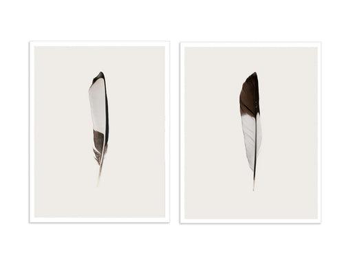 SALE - Feathers (Set of 2)