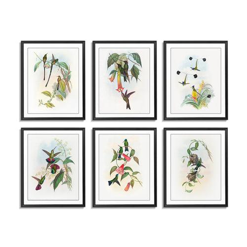 Birds (Set of 6)