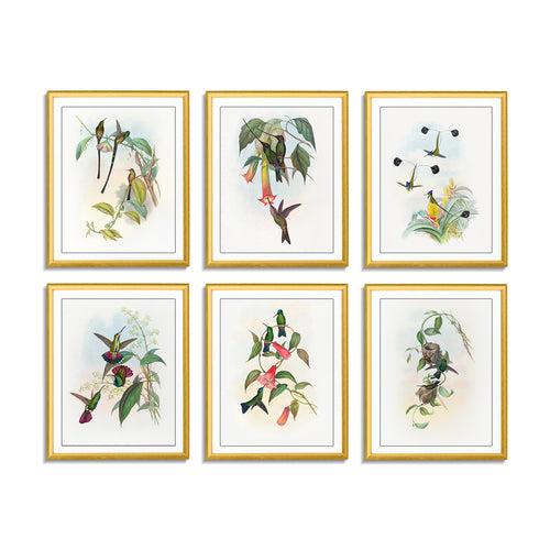 Birds (Set of 6)