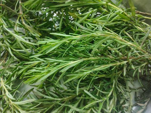 Rosemary Hair Growth Oil