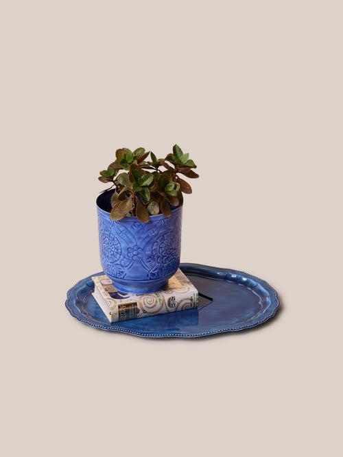 Amari Planters - Blue