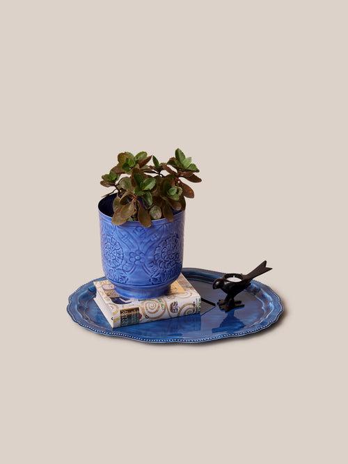 Amari Planters - Blue