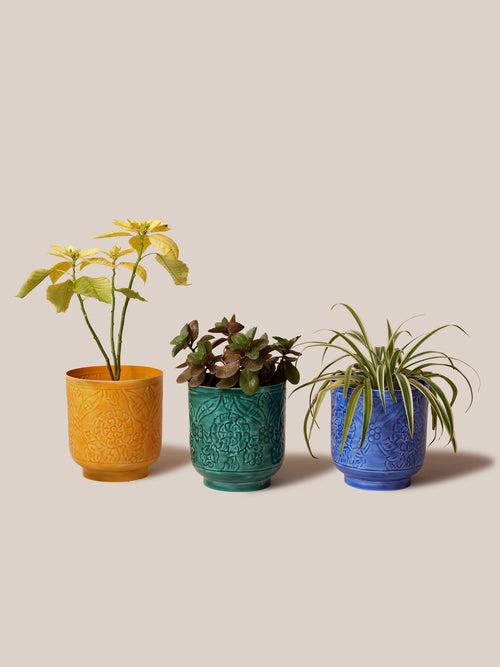 Amari Planters - Green