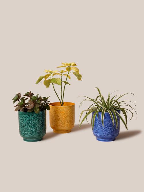 Amari Planters - Blue