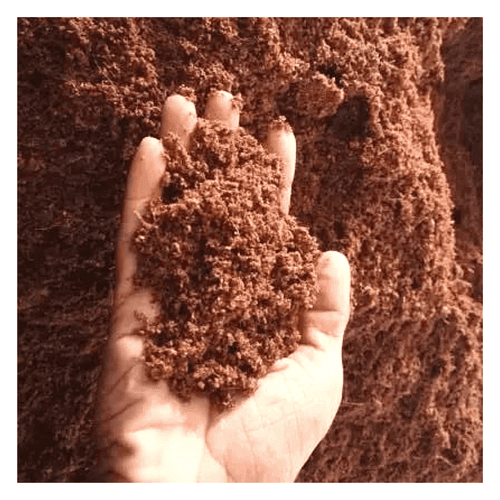 Organic Cocopeat Block (Approx. 20 Kg) - Soil Essentials for Healthy Roots