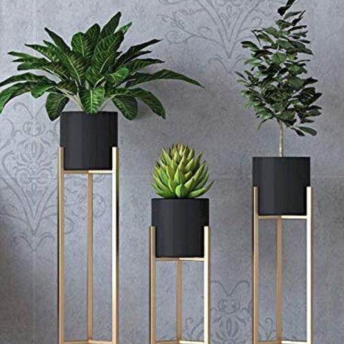 Nordic Matte Black-Gold Planter & Pot - Set of 3