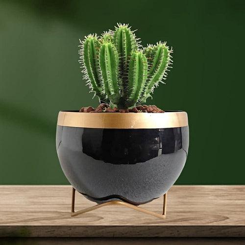 Black Lavender Table Top Planter