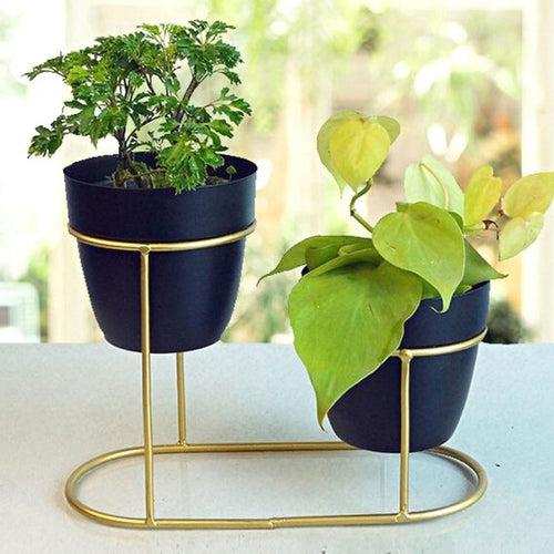 Double Pot Black Tabletop Metal Planter