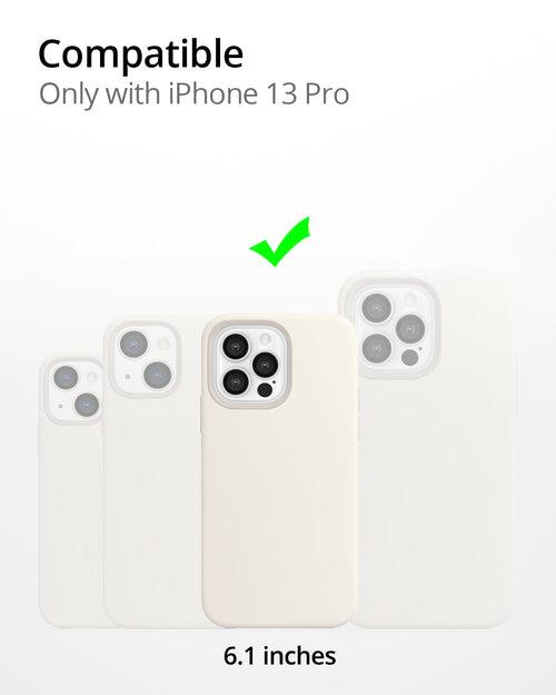 RAEGR MagFix Silicone  Case / Cover Designed for iPhone 13 Pro (6.1-Inch) 2021