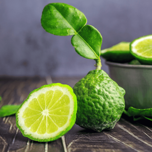 Bergamot Fragrance Oil