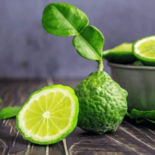 Bergamot Fragrance Oil