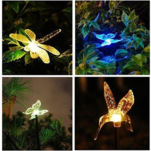 Hardoll Solar Lights For Home Garden Outdoor Stake Bird Lamp (Pack of 3, RGB)