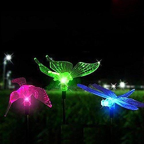 Hardoll Solar Lights For Home Garden Outdoor Stake Bird Lamp (Pack of 3, RGB)