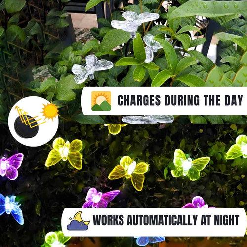 Hardoll Solar Lights Outdoor 6 LED Butterfly Lamp for Home Garden Waterproof Decoration(Multicolor- Pack of 1)(Refurbished)