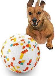 EEToys Pop Ball Dog Toys