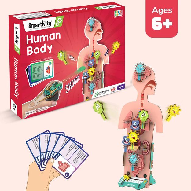 Human Body | 6-10 Years | DIY STEM Construction Toy