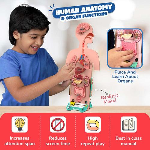 Human Body | 6-10 Years | DIY STEM Construction Toy