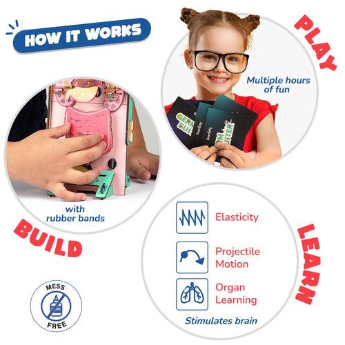 Human Body | 6-10 Years | DIY STEM Construction Toy