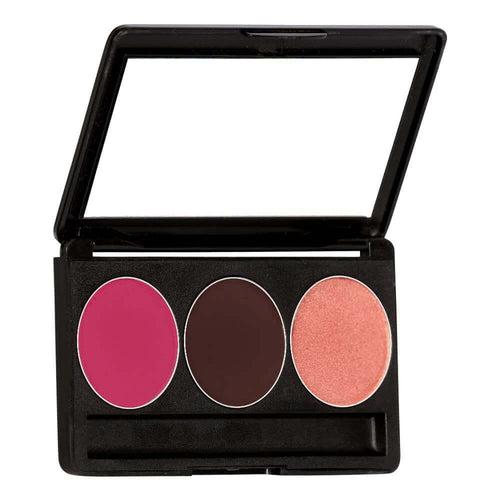 BASIC TRIO 2 (BLUSHER - CONTOUR - HIGHLIGHTER) (13 gm)