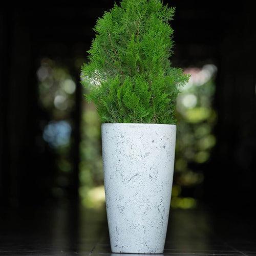 Concrete Umbra Planter  l Concrete Marbre Planters Collection