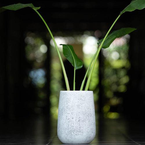 Concrete Parabola Planter  l Concrete Marbre Planters Collection