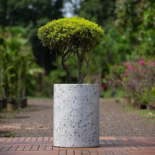 Concrete Cistern Planter Large  l Concrete Marbre Planters Collection