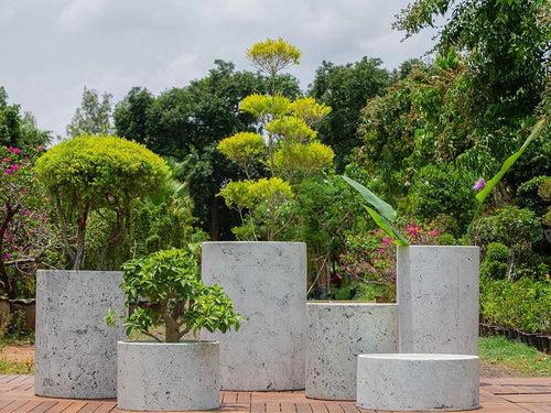 Concrete Delta Planter l Concrete Marbre Planters Collection l Set of Six Concrete Pots