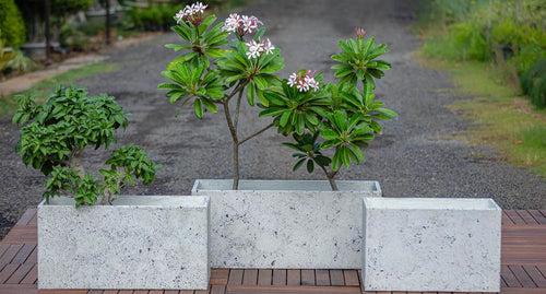 Concrete Pier Planters l Concrete Marbre Planters Collection l Set of Three Concrete Pots