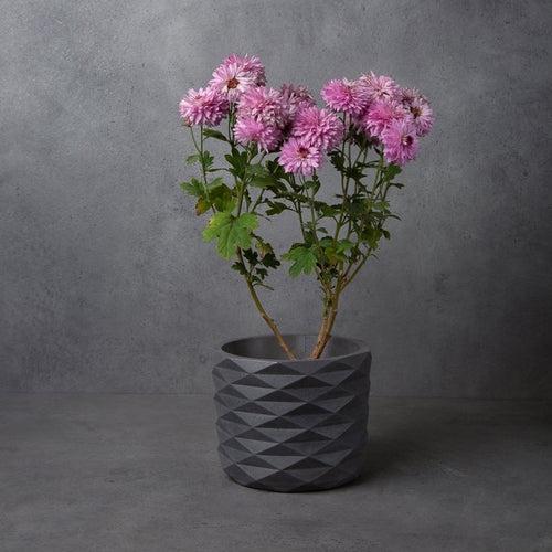 Concrete Tryst Planter - Charcoal-Mid Size Planters