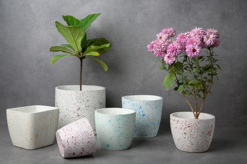 Concrete Monolith 6" Planter - Splash Collection