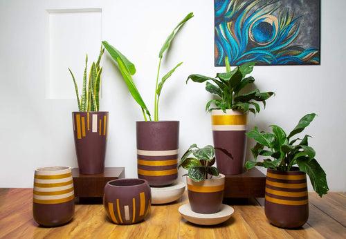 Concrete Planters Set Of Six -  The Golden Hour Collection