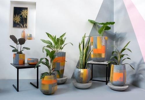 Concrete Planters Set of Nine - The Suryaasta Collection