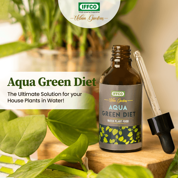 Aqua Green Diet