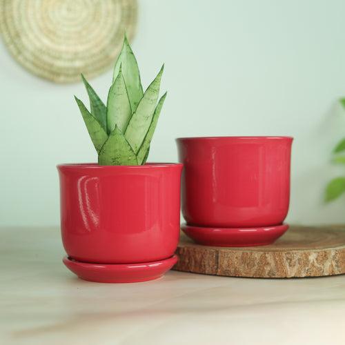 Hot Pink 5" Ceramic Pot