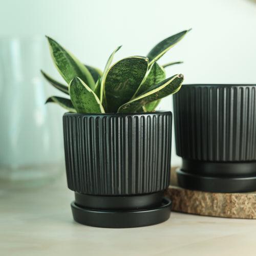 Classic Black 4.5" Ceramic Pot