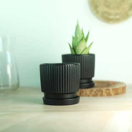 Classic Black 4.5" Ceramic Pot