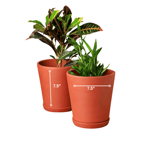 Cone Terracotta Planters (Set of 4)